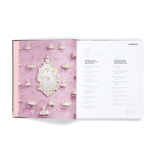 Marie Antoinette Style exhibition book - Softback
